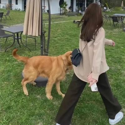 重生岛